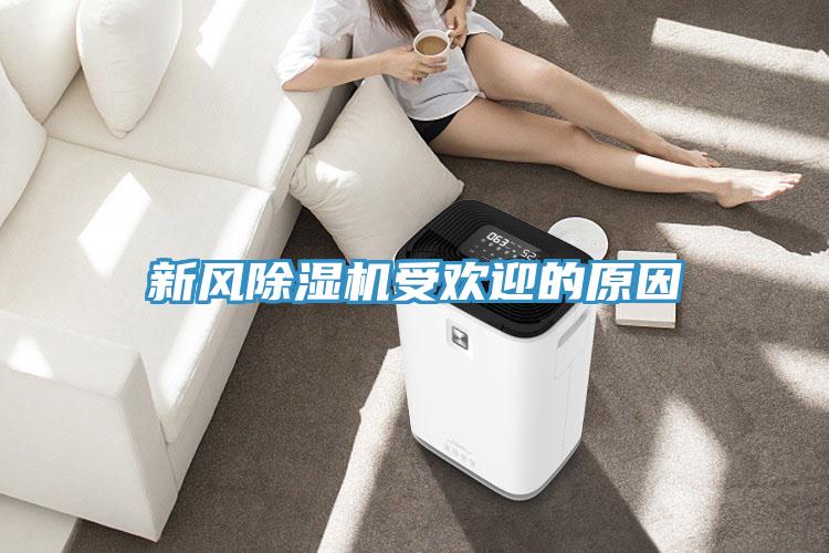 新风91免费网站在线观看受欢迎的原因