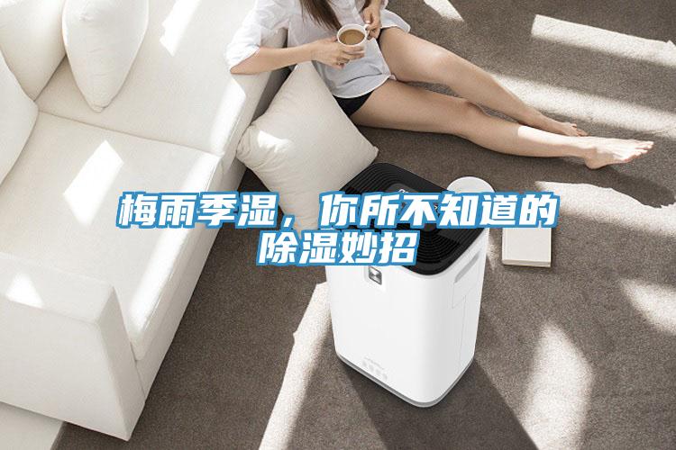 梅雨季湿，你所不知道的除湿妙招