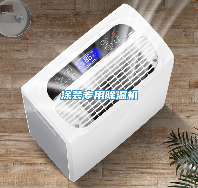 涂装专用91免费网站在线观看