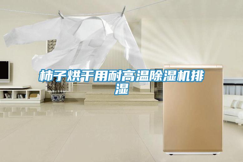 柿子烘干用耐高温91免费网站在线观看排湿