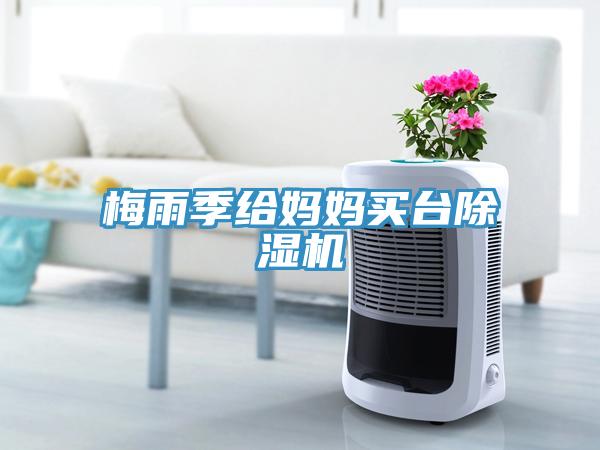 梅雨季给妈妈买台91免费网站在线观看