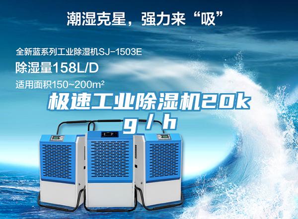 极速工业91免费网站在线观看20kg／h