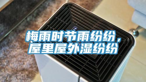 梅雨时节雨纷纷，屋里屋外湿纷纷