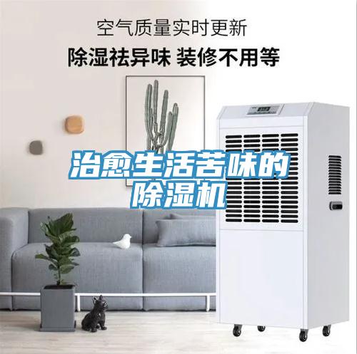 治愈生活苦味的91免费网站在线观看