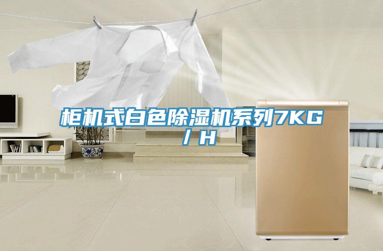 柜机式白色91免费网站在线观看系列7KG／H