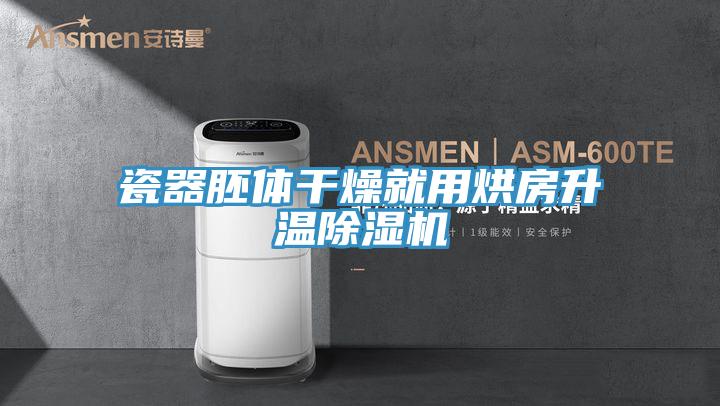 瓷器胚体干燥就用烘房升温91免费网站在线观看