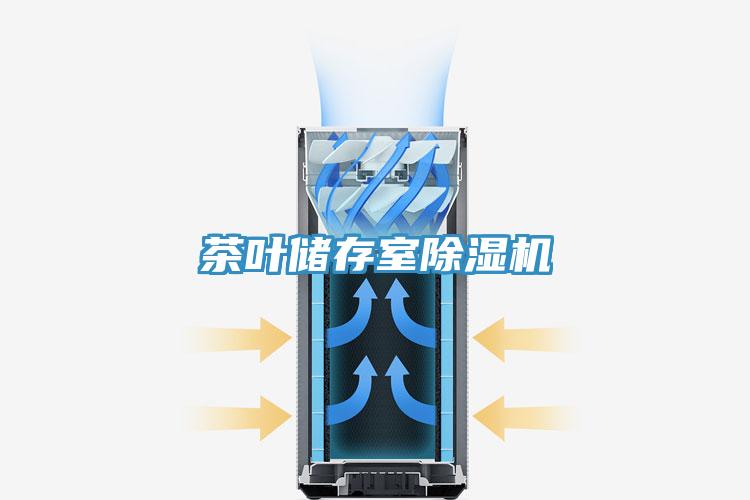 茶叶储存室91免费网站在线观看
