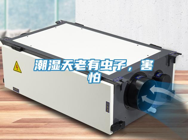潮湿天老有虫子，害怕