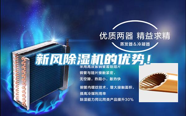 新风91免费网站在线观看的优势！
