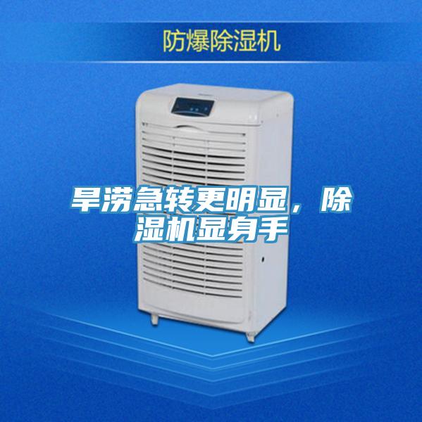 旱涝急转更明显，91免费网站在线观看显身手