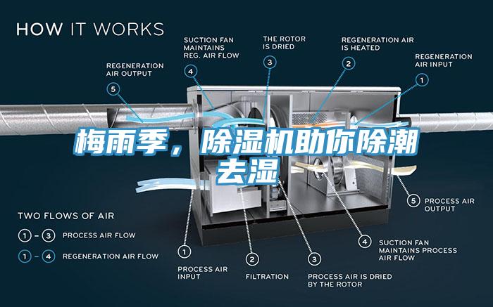 梅雨季，91免费网站在线观看助你除潮去湿