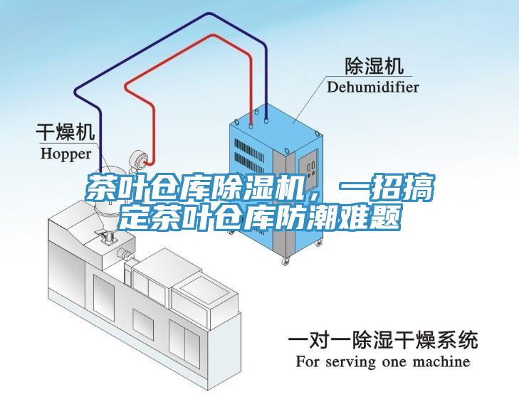 茶叶仓库91免费网站在线观看，一招搞定茶叶仓库防潮难题