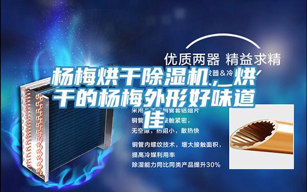 杨梅烘干91免费网站在线观看，烘干的杨梅外形好味道佳