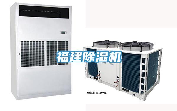 福建91免费网站在线观看