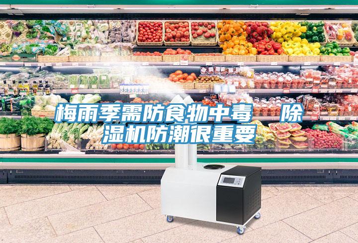 梅雨季需防食物中毒  91免费网站在线观看防潮很重要