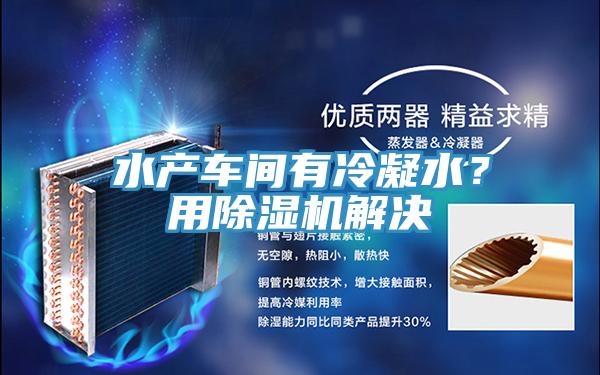 水产车间有冷凝水？用91免费网站在线观看解决
