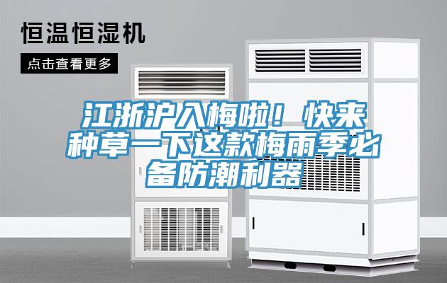 江浙沪入梅啦！快来种草一下这款梅雨季必备防潮利器