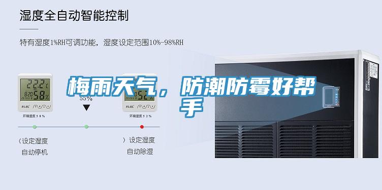 梅雨天气，防潮防霉好帮手