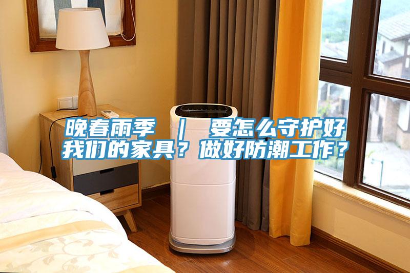 晚春雨季 ｜ 要怎么守护好91免费看黄片的家具？做好防潮工作？