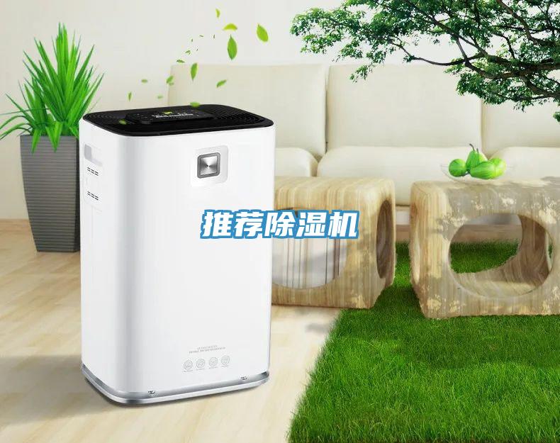 推荐91免费网站在线观看