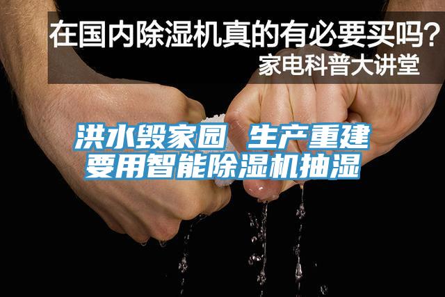 洪水毁家园 生产重建要用智能91免费网站在线观看抽湿