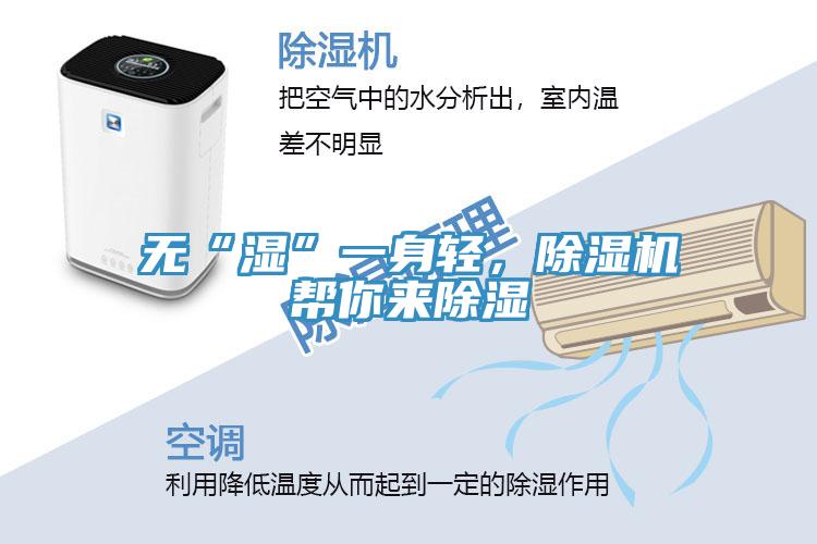 无“湿”一身轻，91免费网站在线观看帮你来除湿