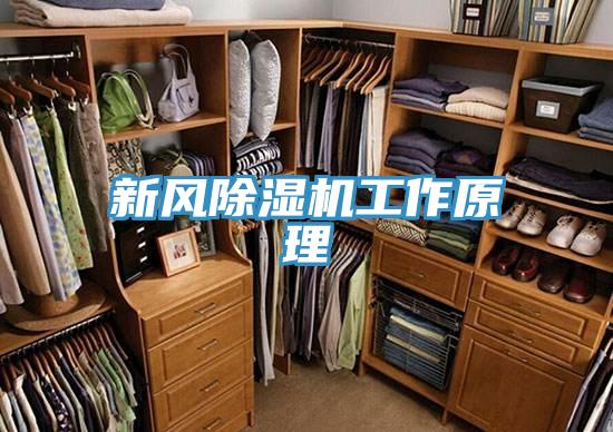新风91免费网站在线观看工作原理