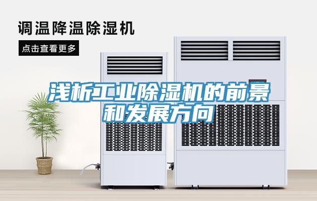 浅析工业91免费网站在线观看的前景和发展方向