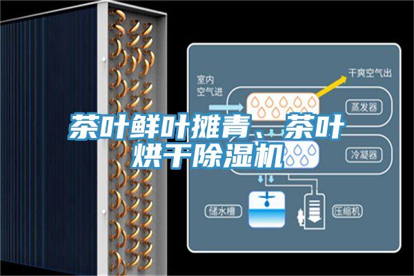 茶叶鲜叶摊青、茶叶烘干91免费网站在线观看