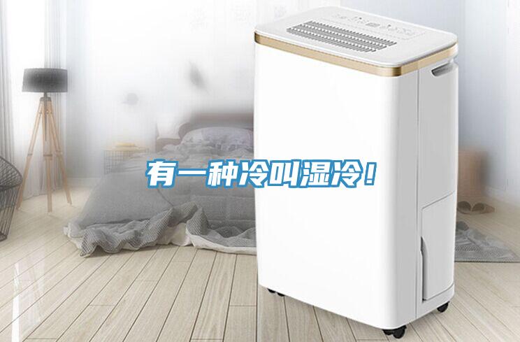 有一种冷叫湿冷！