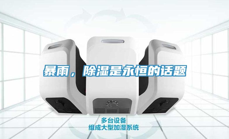暴雨，除湿是永恒的话题