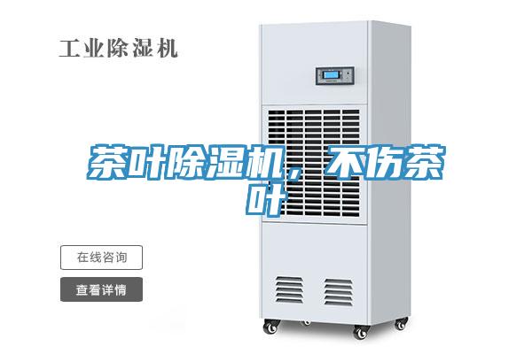 茶叶91免费网站在线观看，不伤茶叶