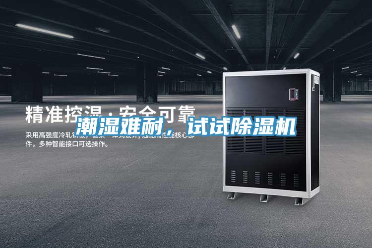 潮湿难耐，试试91免费网站在线观看