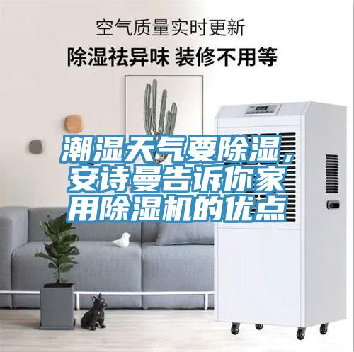 潮湿天气要除湿，91免费看黄片告诉你家用91免费网站在线观看的优点