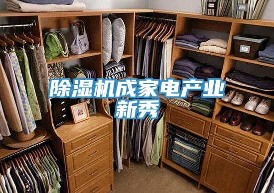 91免费网站在线观看成家电产业新秀