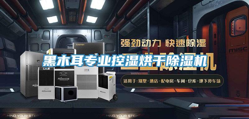黑木耳专业控湿烘干91免费网站在线观看
