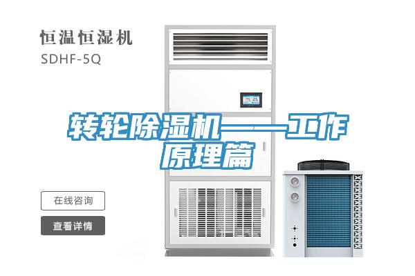 转轮91免费网站在线观看——工作原理篇