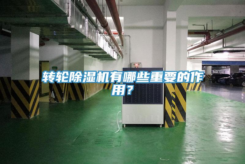 转轮91免费网站在线观看有哪些重要的作用？