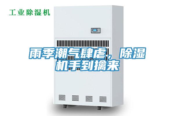 雨季潮气肆虐，91免费网站在线观看手到擒来