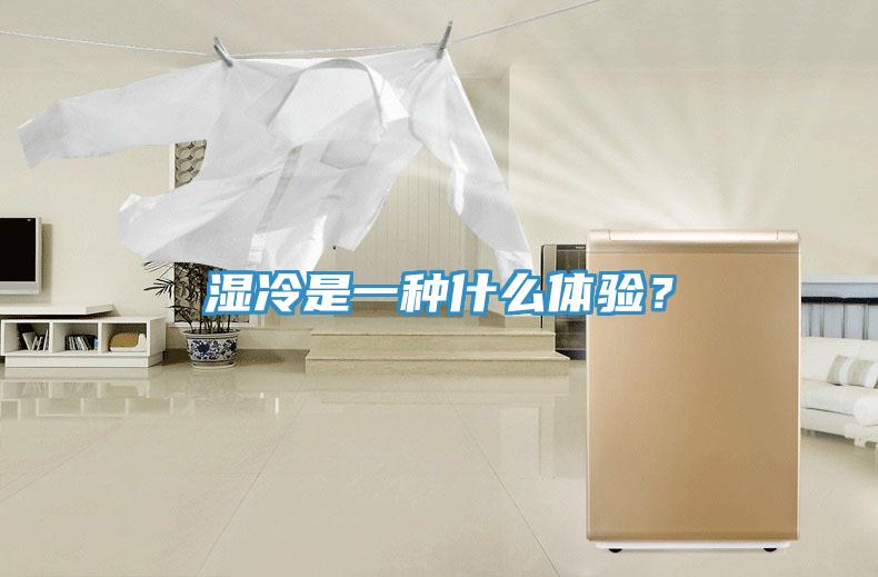 湿冷是一种什么体验？