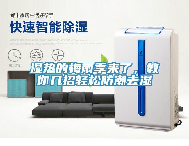 湿热的梅雨季来了，教你几招轻松防潮去湿