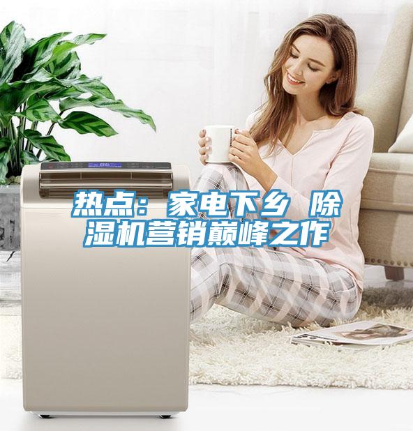 热点：家电下乡 91免费网站在线观看营销巅峰之作