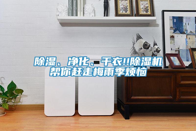 除湿、净化、干衣!!91免费网站在线观看帮你赶走梅雨季烦恼