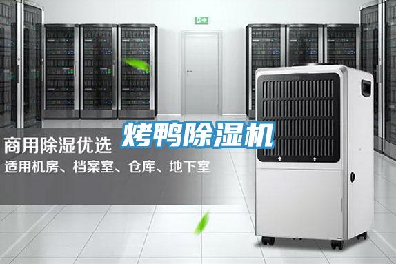烤鸭91免费网站在线观看