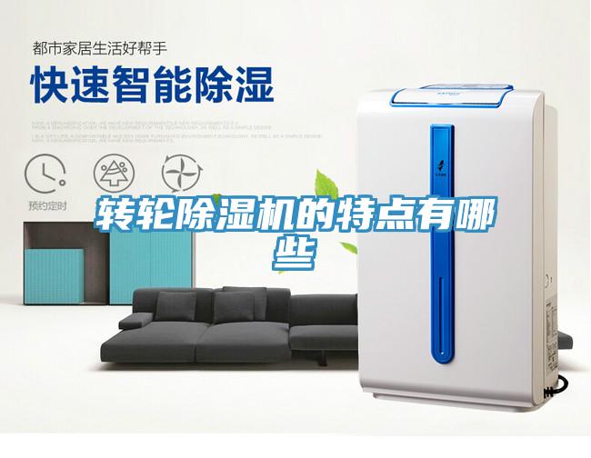 转轮91免费网站在线观看的特点有哪些
