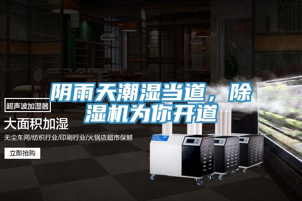 阴雨天潮湿当道，91免费网站在线观看为你开道