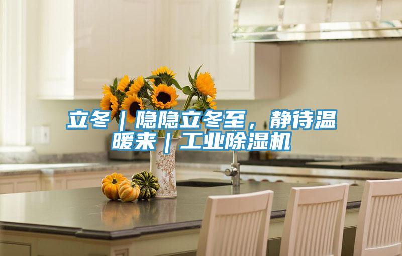 立冬｜隐隐立冬至，静待温暖来｜工业91免费网站在线观看