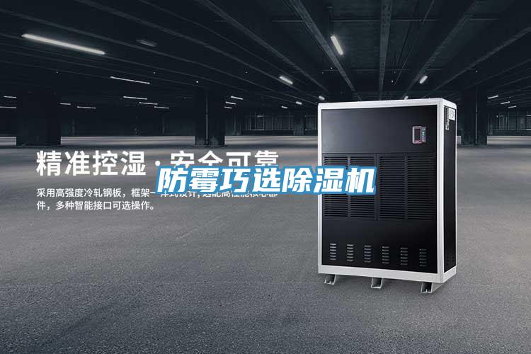 防霉巧选91免费网站在线观看