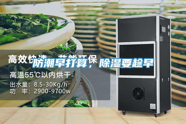 防潮早打算，除湿要趁早