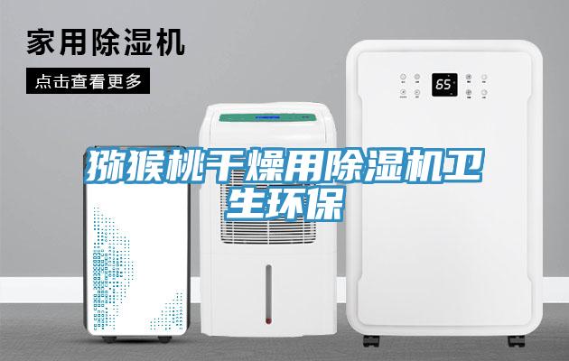 猕猴桃干燥用91免费网站在线观看卫生环保